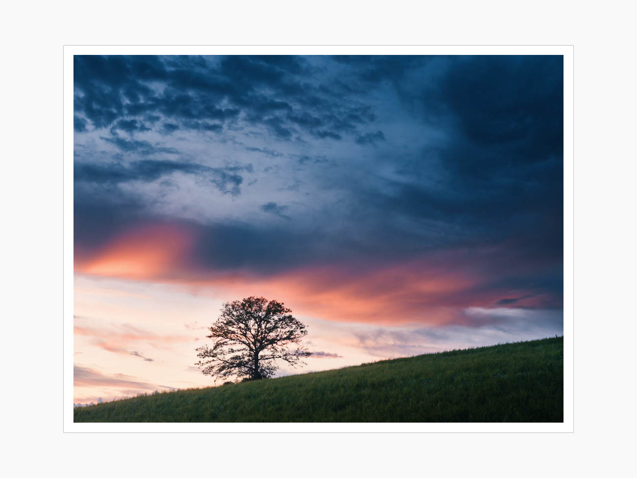 Max Schiefele Alle Bilder  DSF6760